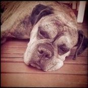 Jamie Kasper's photo