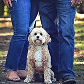 Nicki Stuart-Minniear's photo