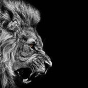 Nina Kitchens's photo