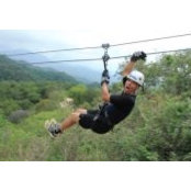 Mark Ford's photo