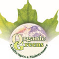 Organic Greens Landscapes's profile photo