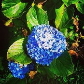 Tehani Lubaggi's photo