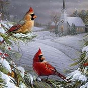 Lori Burroughs Miller's photo