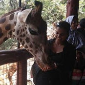 Tajrina Hai's photo