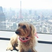 Mariko Hirano's photo
