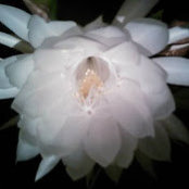 Miriam Merrill's photo