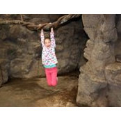 Nicole Mackin's photo