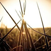 Benoit Clairbois's photo