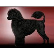 Donna Sack's photo