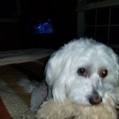 Cynthia Overfield's photo