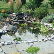 pond
