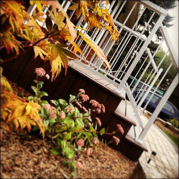 New Entrance, Stone Walkway & Gardens