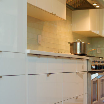 Modern IKEA Kitchen in Colorado Craftsman Home