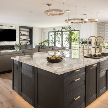 Peninsula: Woodside Renovation