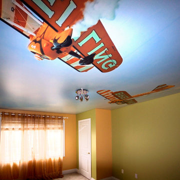 Biplane Action Stretch Ceiling