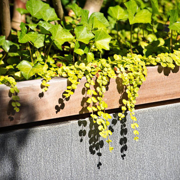 Upper West Side Terrace