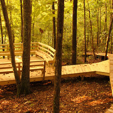 Wood Walkway