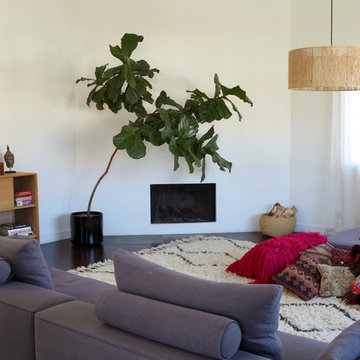 Venice Beach Modern