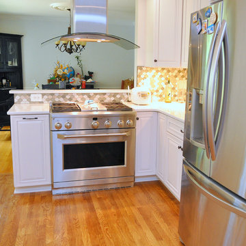 Classic Traditional White Kitchen / Rockville, MD