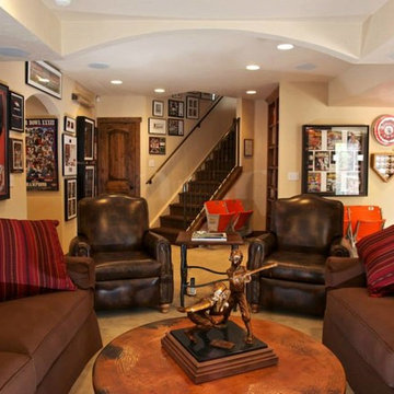 Basement Finish - Highlands Ranch, CO