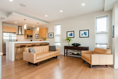 Example of a minimalist living room design in Boston