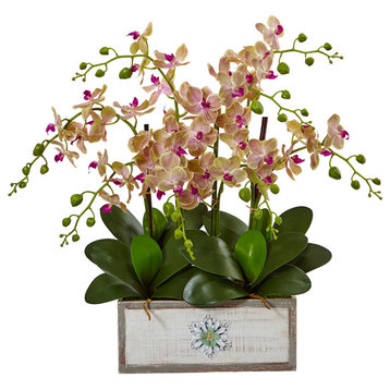 Phalaenopsis Orchid Arrangement, Decorative Wood Planter