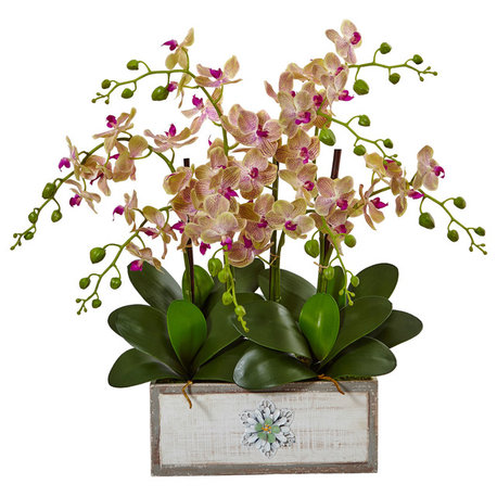 Phalaenopsis Orchid Arrangement, Decorative Wood Planter