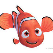 Fish Lis foto