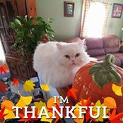 Susan Esty's photo