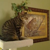 Tammy Exel's photo