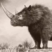 Bradley Madeo's photo