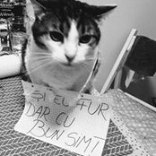 Larisa Urse's photo