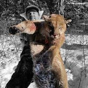 Tyler Chase's photo