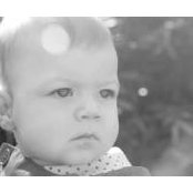 Brian Alexander's photo