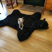 Jamie Richards's photo