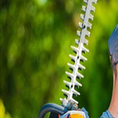 Arlington Tree Service Pros