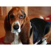Andrea Bruzzi's photo