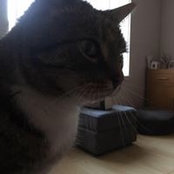 Emily Ross's photo
