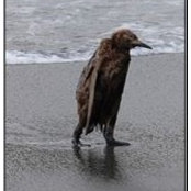Billy Curley's photo