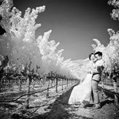 Gavin Lee's photo