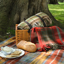 Picnics