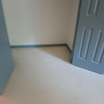Residential Carpet Installation