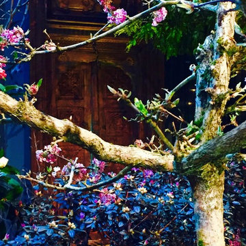 Nourishing Spirits a real taste of the Spring