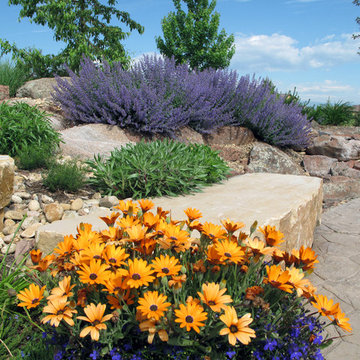 Gary's Portico Magic Land - Longmont