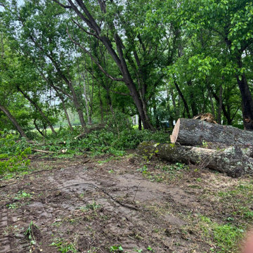 Complete Outdoor Property Improvement and Tree Service