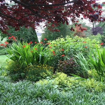 Meadow Planting, Westport CT