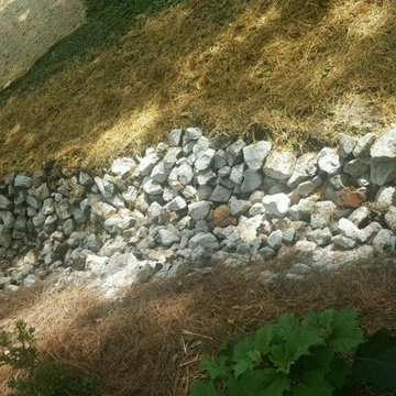 Outdoor Landscaping
