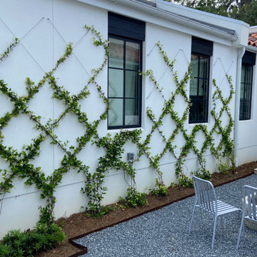 California Vineyard vibe
