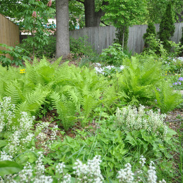 Midcentury Stormwater Management