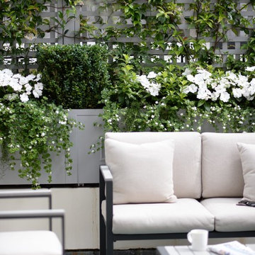Traditional Trellis - Making Smaller Spaces Work